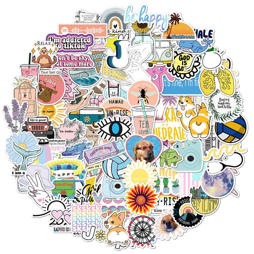 100Pcs Cartoon Vsco Girls Stickers for Laptop Skateboard