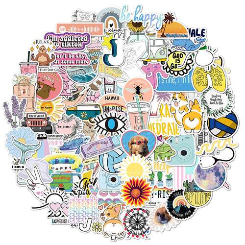 100Pcs Cartoon Vsco Girls Stickers for Laptop Skateboard