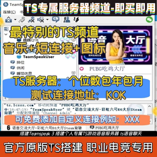 Teamspeak3搭建ts3频道服务器搭建连接账号游戏ts6语音聊天频道全