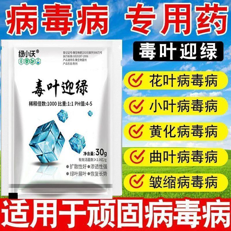 毒叶迎绿病毒西红柿辣椒黄瓜叶枯病专用药全套微生物菌剂病毒药