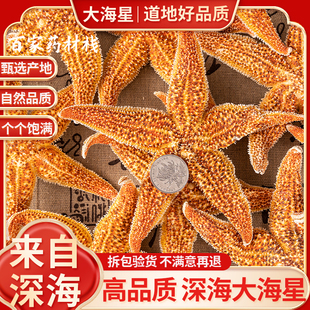 包邮 中药材刺棘海星海五星海盘车海星干货正品 煲汤泡酒料500g