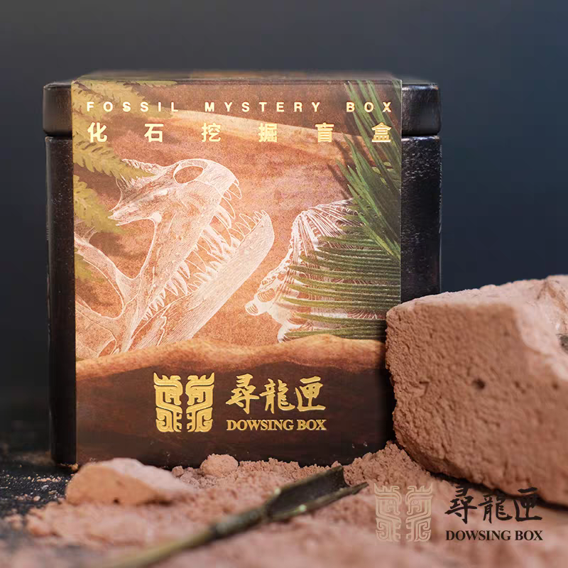南京汤山国家地质公园生物化石考古挖掘盲盒地质博物馆寻龙匣文创