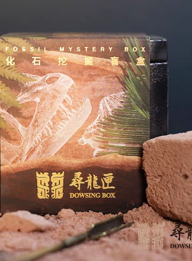 南京汤山国家地质公园生物化石考古挖掘盲盒地质博物馆寻龙匣文创
