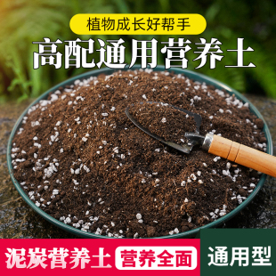 通用型营养土养花专用种菜土疏松透气有机花土多肉绿植轻质草炭土
