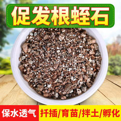 扦插育苗促发根疏松土壤蛭石颗粒