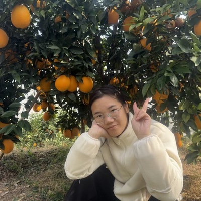 现摘正宗赣南脐橙赣州产地直发江西10斤装大果当季新鲜水果橙子20