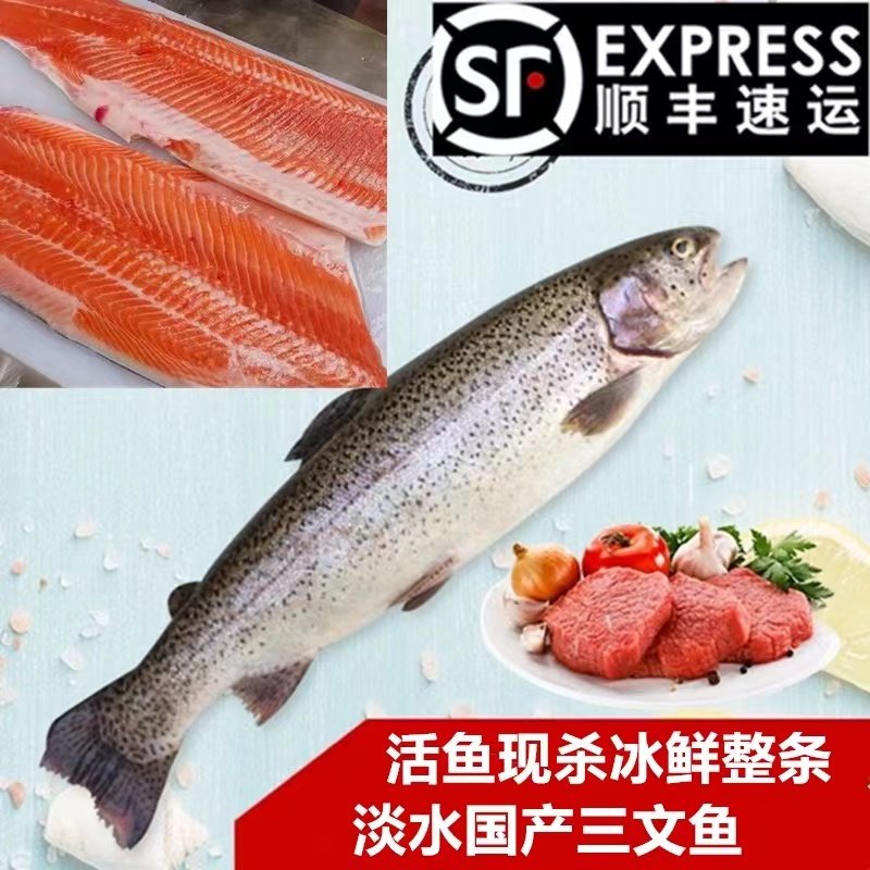 [顺丰]新疆整条虹鳟三文鱼冰鲜新鲜国产3斤-6斤整条开片去刺即食