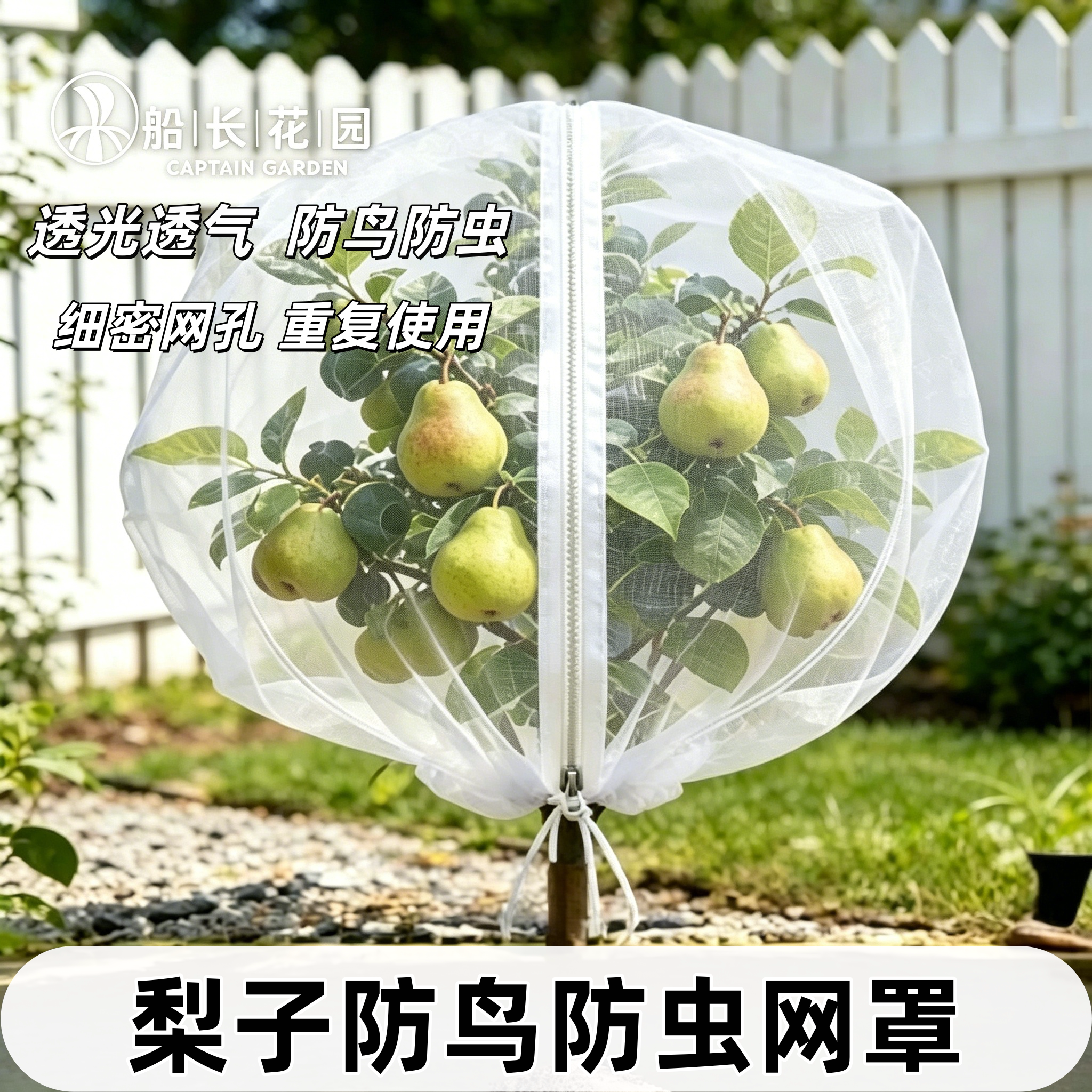 梨子果树防虫网罩蓝莓枇杷防鸟网罩蔬菜绿植透光抗老化通用型纱网图片