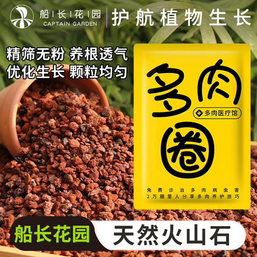 火山石颗粒多肉兰花用水族火山岩