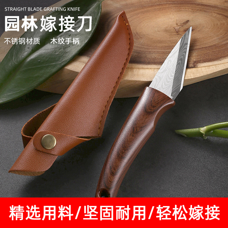 嫁接专用刀果树植物多肉砍头扦插嫁接神器进口手工嫁接芽刀膜工具