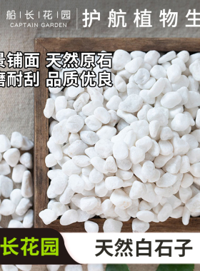 白石子天然鹅卵石雨花石多肉盆栽铺面庭院造景花盆装饰白色小石头