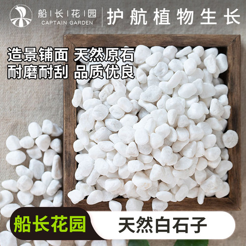 白石子天然鹅卵石雨花石多肉盆栽铺面庭院造景花盆装饰白色小石头 - 封面