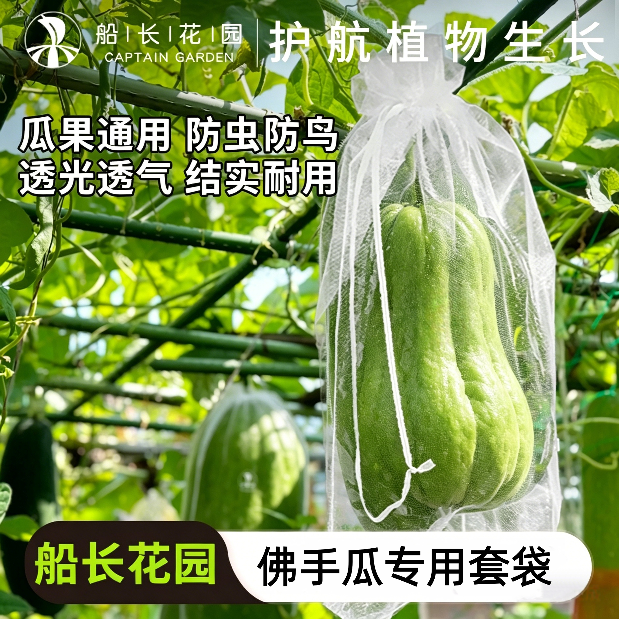 佛手瓜防虫防鸟纱网袋蔬果通用型网纱袋透气套袋香瓜茄子尼龙网袋