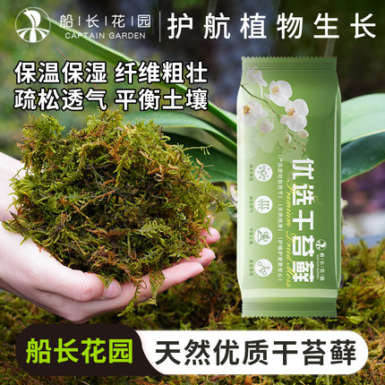 干苔藓乌龟冬眠专用天然兰花土石斛兰植料进口智利蝴蝶兰专用水苔