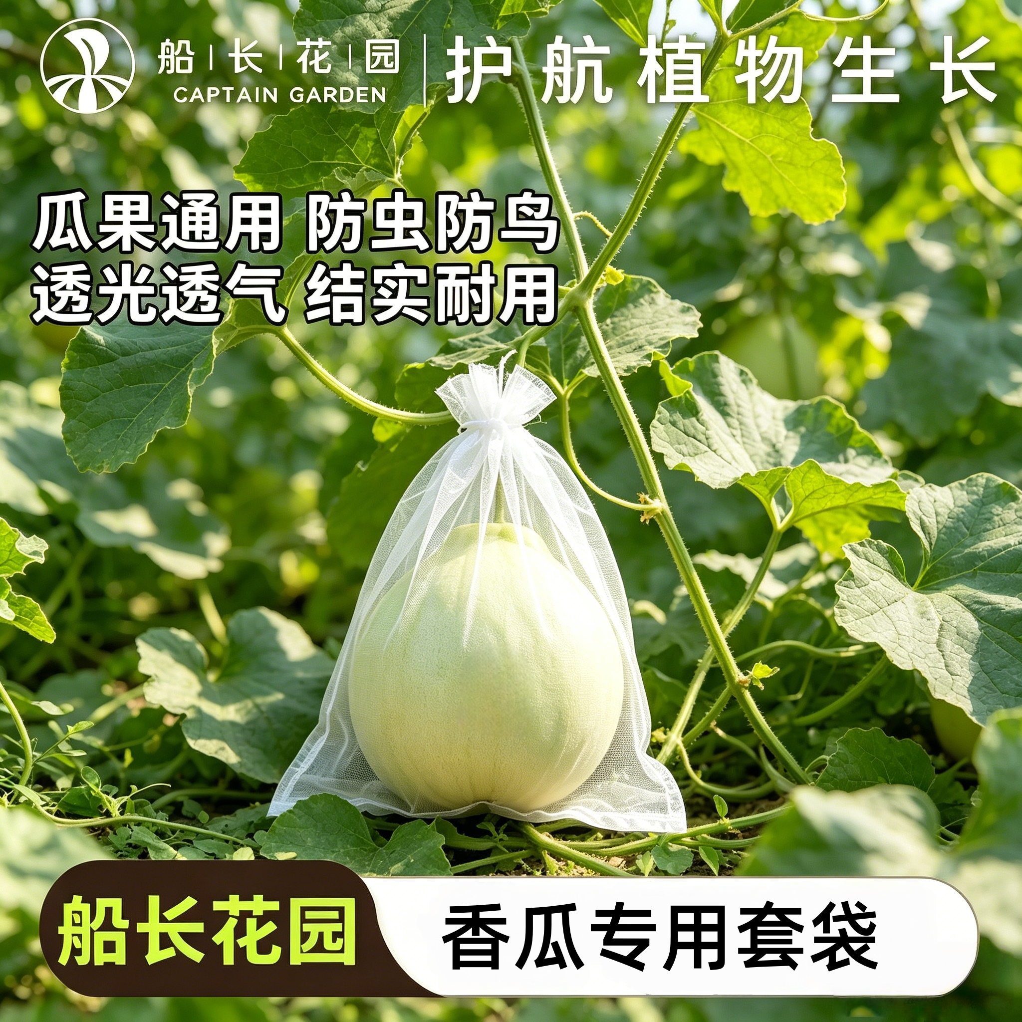 香瓜防虫防鸟套袋枇杷柚子杨梅水果专用网纱袋防果蝇保护尼龙网袋