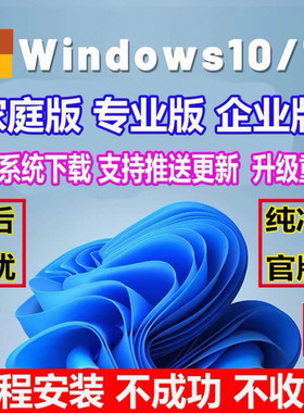 远程安装电脑系统重装win10/11/7纯净版专业版台式笔记本升级刷机