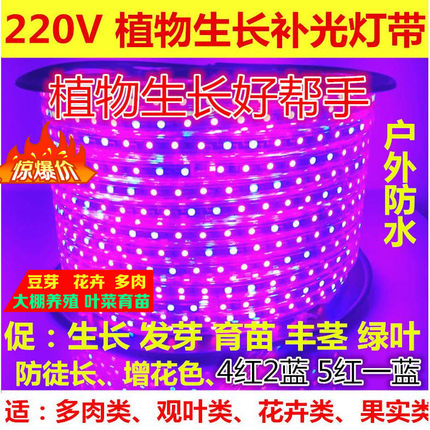 220V全光谱led植物生长大棚补光灯带多肉育苗花卉室内植物叶灯条