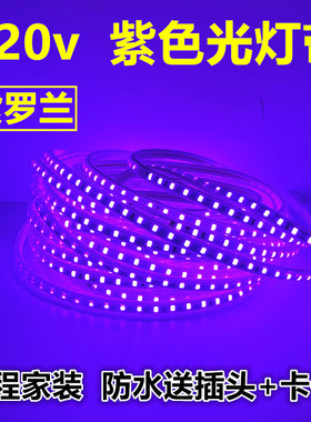 紫色led灯带紫光220v紫罗兰软灯条紫粉色户外防水吊顶装饰KTV酒吧