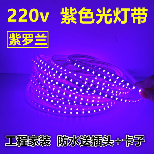 紫色led灯带紫光220v紫罗兰软灯条紫粉色户外防水吊顶装饰KTV酒吧
