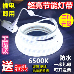 led灯带220v正白光6500K斜三排180珠高亮防水家用招牌门头养殖场