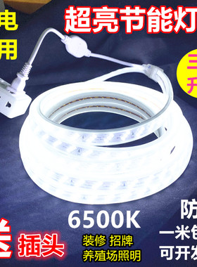 led灯带220v正白光6500K斜三排180珠高亮防水家用招牌门头养殖场