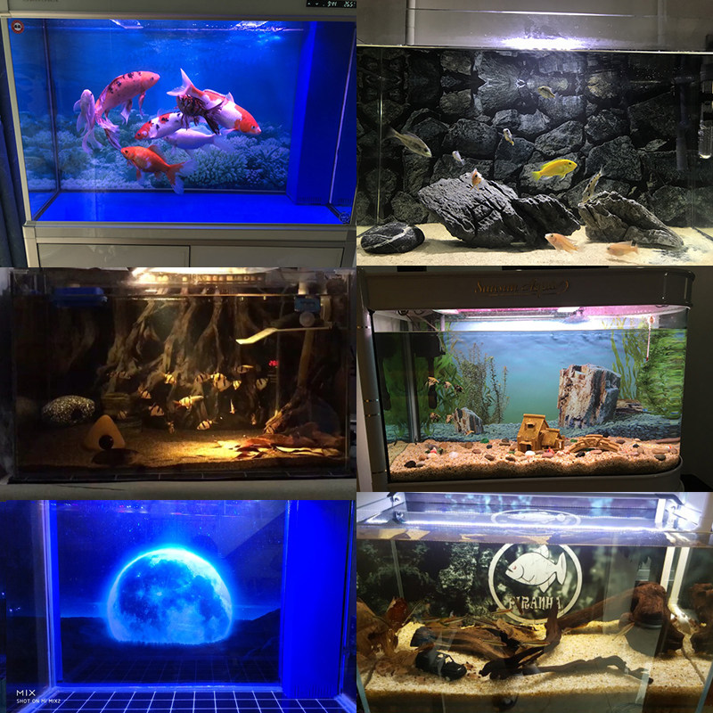 鱼缸背景纸画高清图3d立体壁画水族箱背景图贴纸壁纸鱼缸背景画