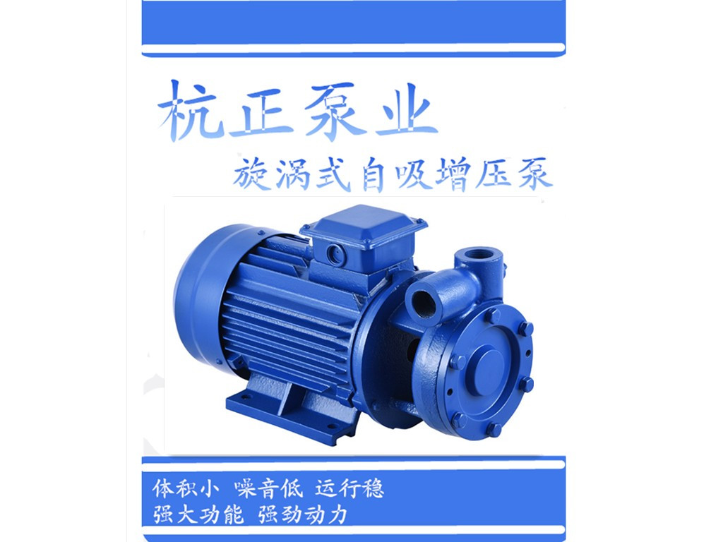 高扬程漩涡泵锅炉高扬程增压泵