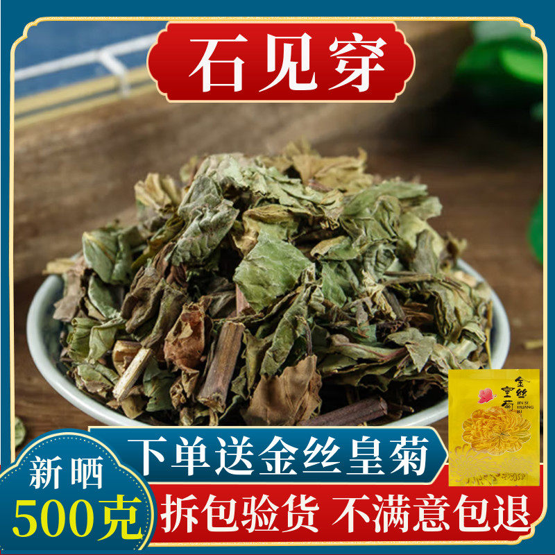 野生 石见穿中药材500克g 包邮正品新货中草药月下红石打穿石大川