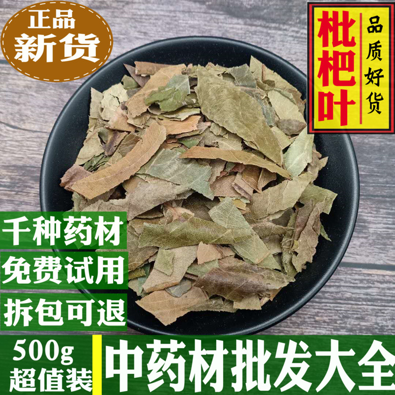野生新鲜枇杷叶中药材