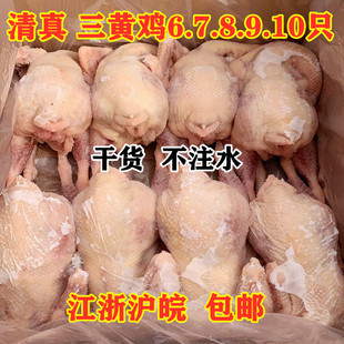 清真三黄鸡冷冻整箱土鸡白条鸡大盘鸡蹦蹦鸡童子鸡6-10只商用包邮