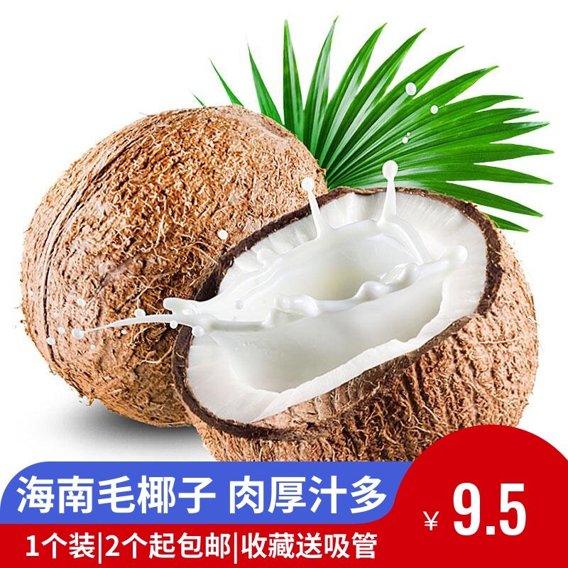 毛椰子海南老椰孕妇儿童水果原味