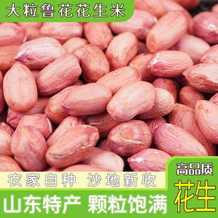 山东鲁花生米 5斤大颗粒当季去壳沙地白果饱满大籽农家黑花生榨