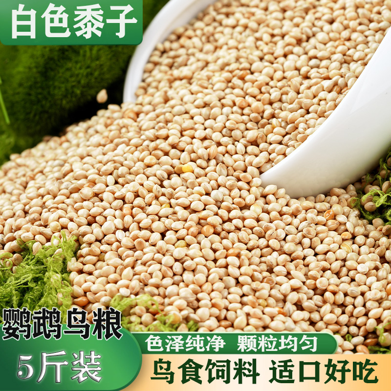 鸟食鸟粮5斤白色黍子玄凤鹦鹉