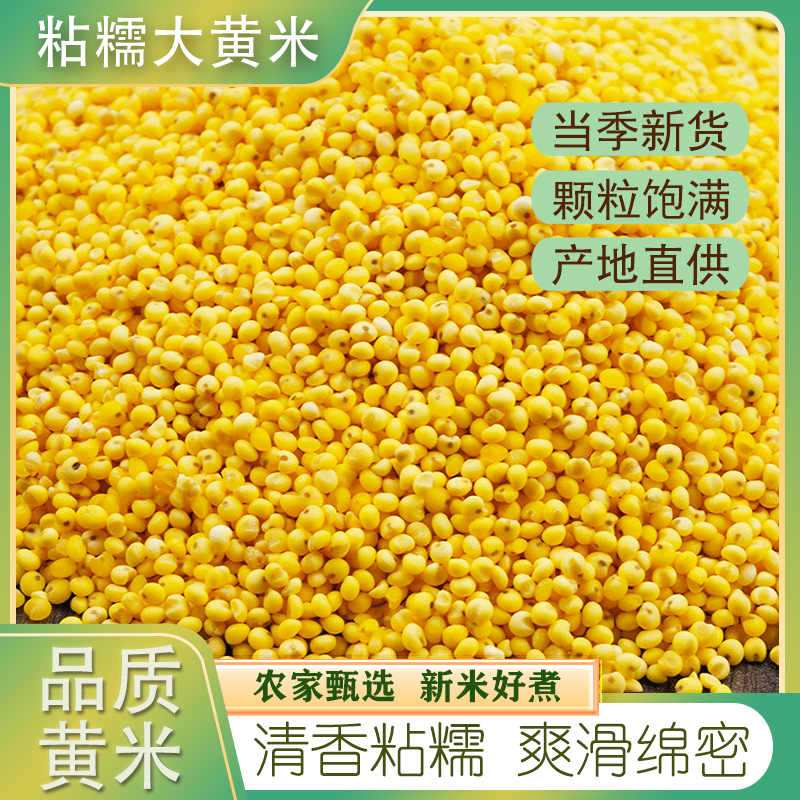 新糯大黄米山西农家自种黏黄米
