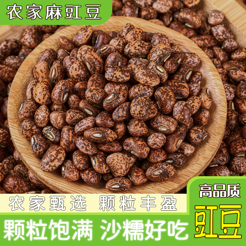 麻豇豆农家新小麻豆江豆