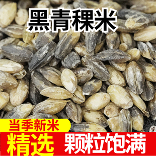 黑青稞米1斤3斤5斤高原去皮生青稞麦煮粥杂粮