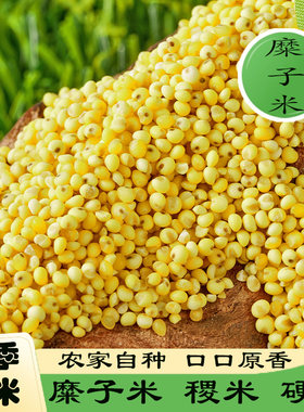农家新米糜子米硬黄米稷米粗粮