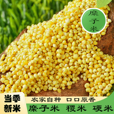 农家新米糜子米硬黄米稷米粗粮