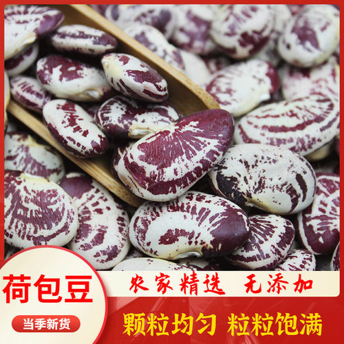 富贵豆大肾豆五谷杂粮