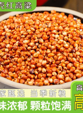 新带皮红高粱500g 农家自产带壳酿酒喂鸽子鹦鹉磨面五谷杂粮粗粮