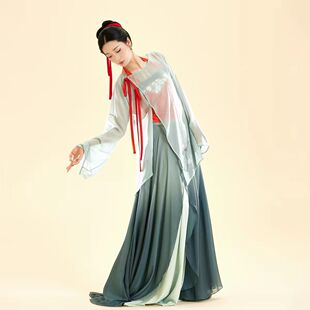 古典舞练功服纱衣青蛇舞蹈服中国风舞服青色飘逸女演出服表演服装