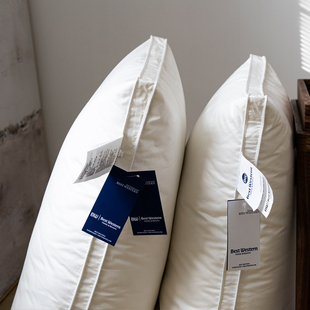 五星级酒店鹅绒枕芯专用助睡眠护颈椎 100支全棉高端羽绒枕芯