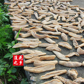 江西莲花特产罗卜干自制农家特产萝卜干货盐萝卜干脆萝干2斤 包邮