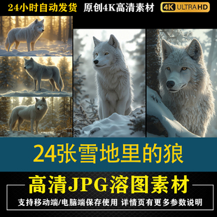 271.24张雪地里 狼cos特效合成影楼后期修图背景素材PS电商底图