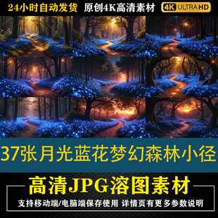 196.37张月光蓝花梦幻森林小径cos特效合成后期修图背景素材底图