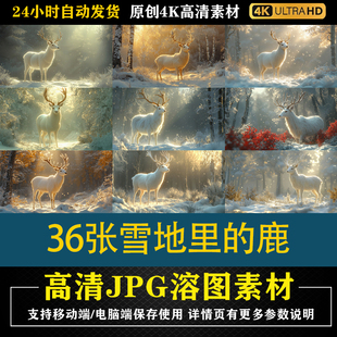 272.36张雪地里 鹿狼cos特效合成后期修图背景素材PS电商底图