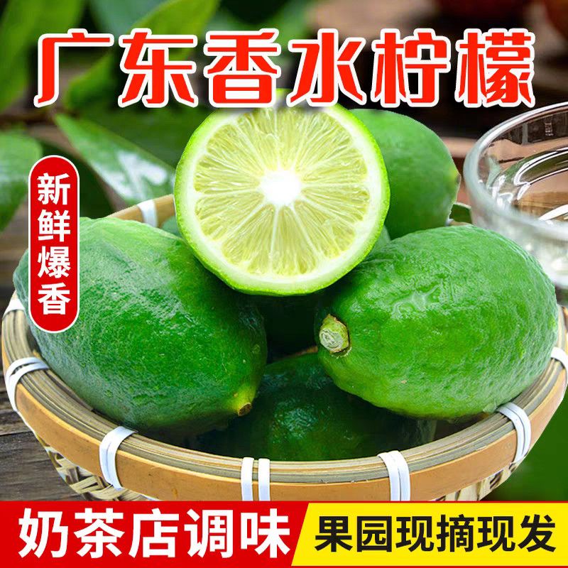 精选广东香水柠檬一级果无籽香水柠檬咖啡奶茶店专用