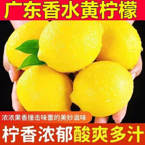 广东香水黄柠檬黄皮柠檬新鲜果园柠檬