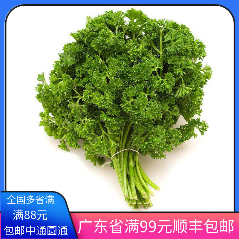 荷兰芹欧芹,味道怎么样,东西_大山谷图库