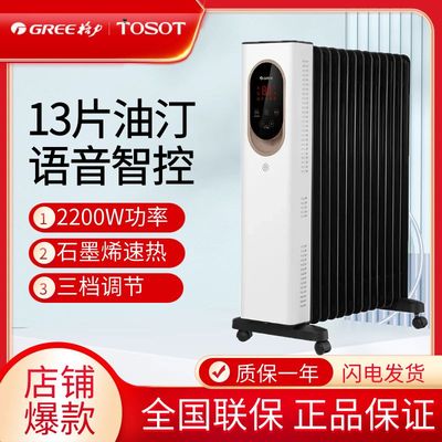 格力智能语音石墨烯取暖器